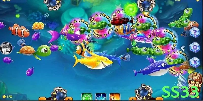 ss33: Melhores Práticas e Estratégias Comprovadas - pak