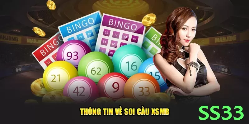 ss33 no Brasil: Análise Completa e Recomendações - vip